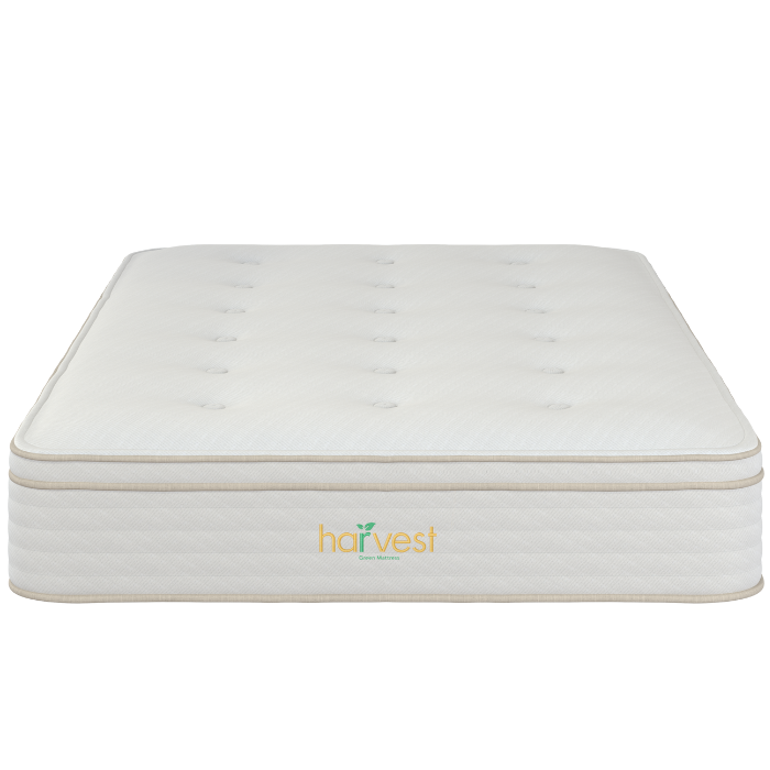 Harvest Green Pillow Top — product photo 4